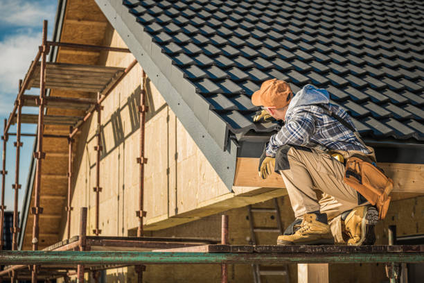 Best Asphalt Shingle Roofing  in Mountain Lake, MN